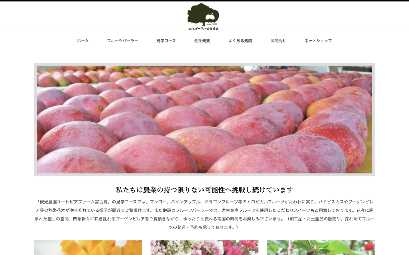 観光農園 ユートピアファーム宮古島