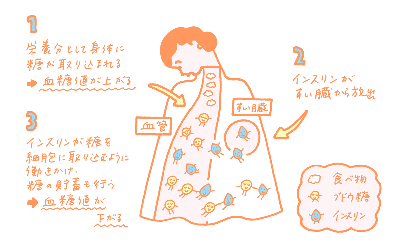 食事によるインスリン値変動の図
