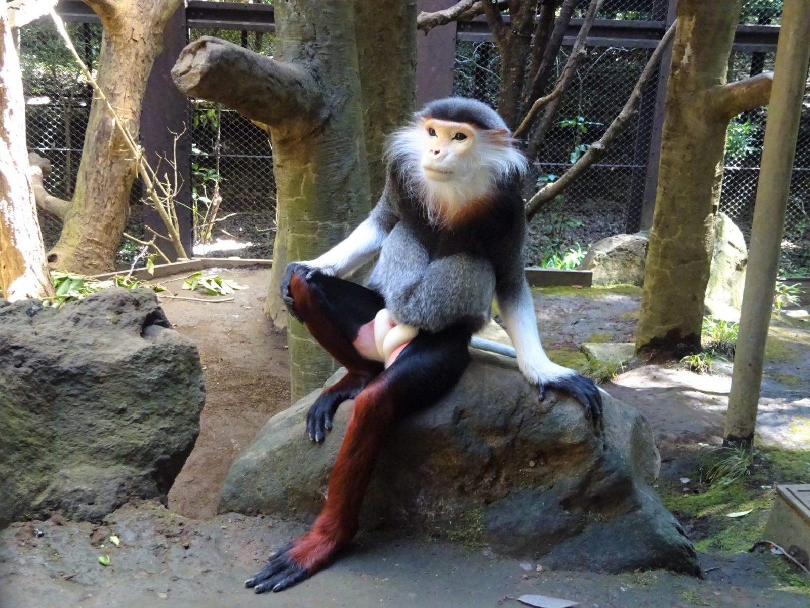 動物にとって快適な飼育環境って よこはま動物園ズーラシアの獣医師に聞きました マガジンど 温度に関わる衣食住についてのお役立ち情報 トレンド満載のデジタルマガジン